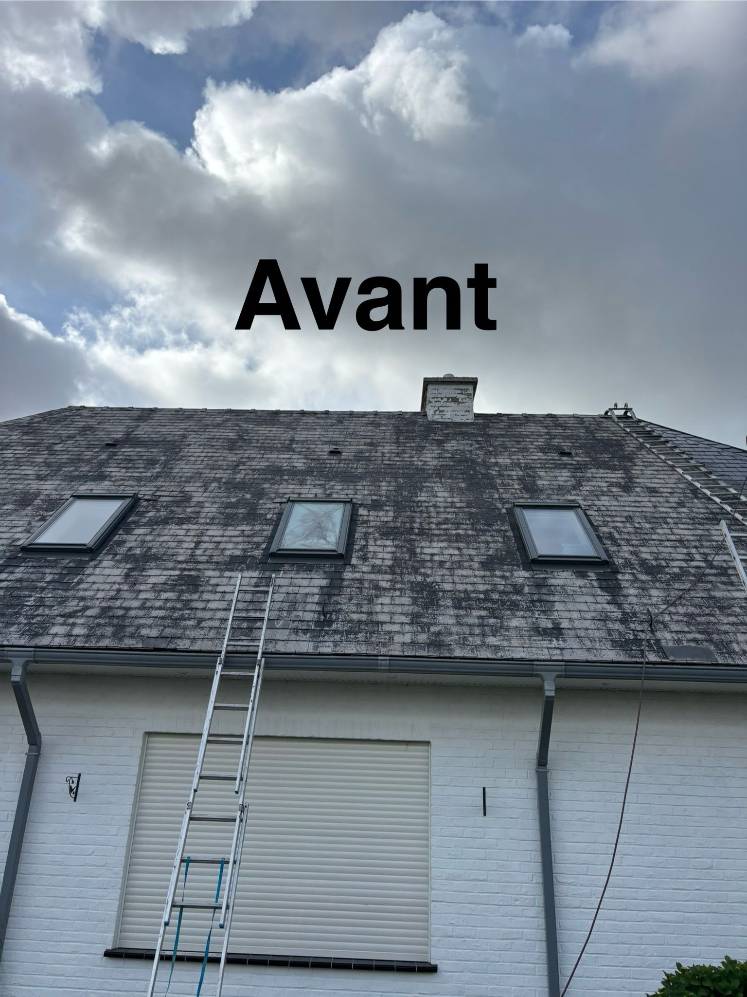 Peinture sur toiture