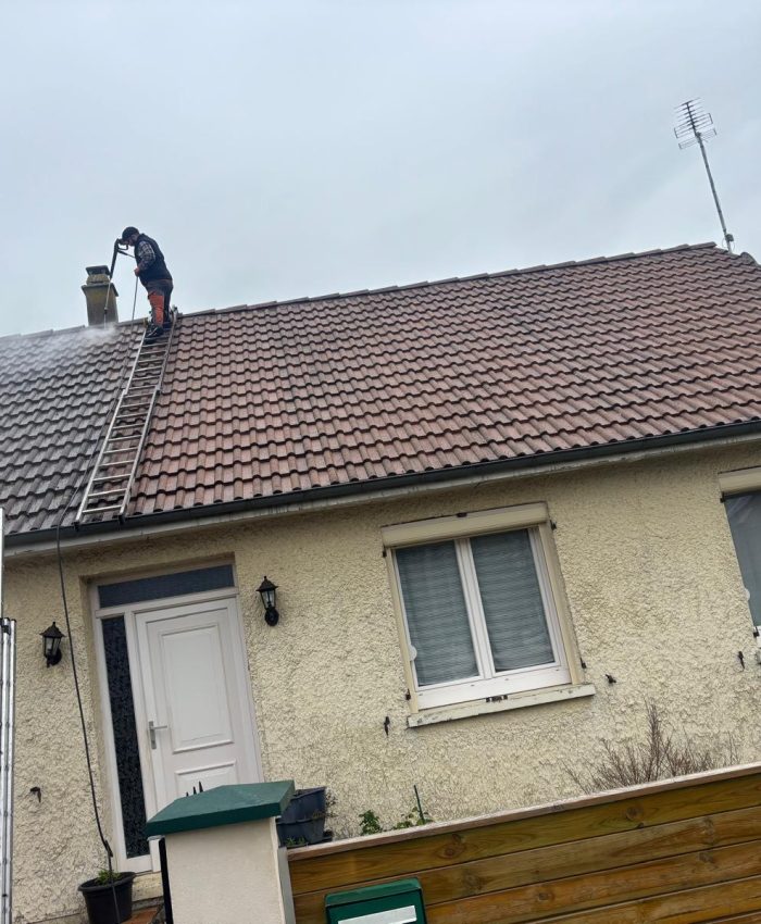 démoussage toiture